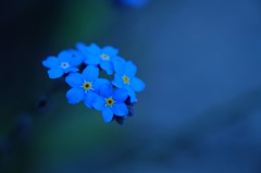 blue
