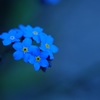 blue