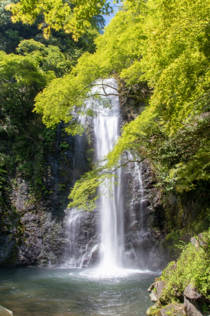 初！箕面の滝！