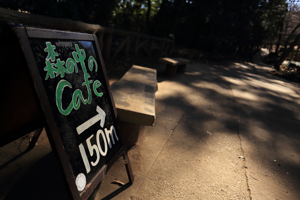 Cafe in the forest.