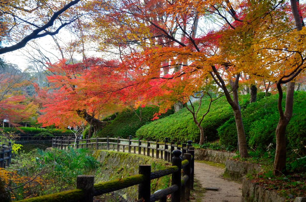 もみじ谷の紅葉