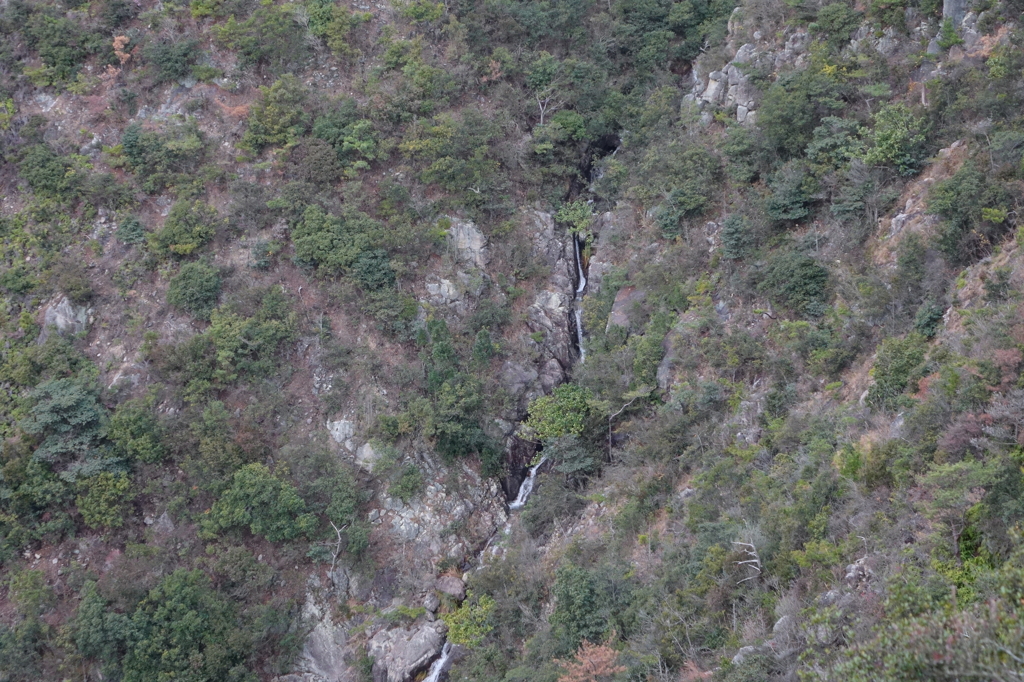 DSC02171