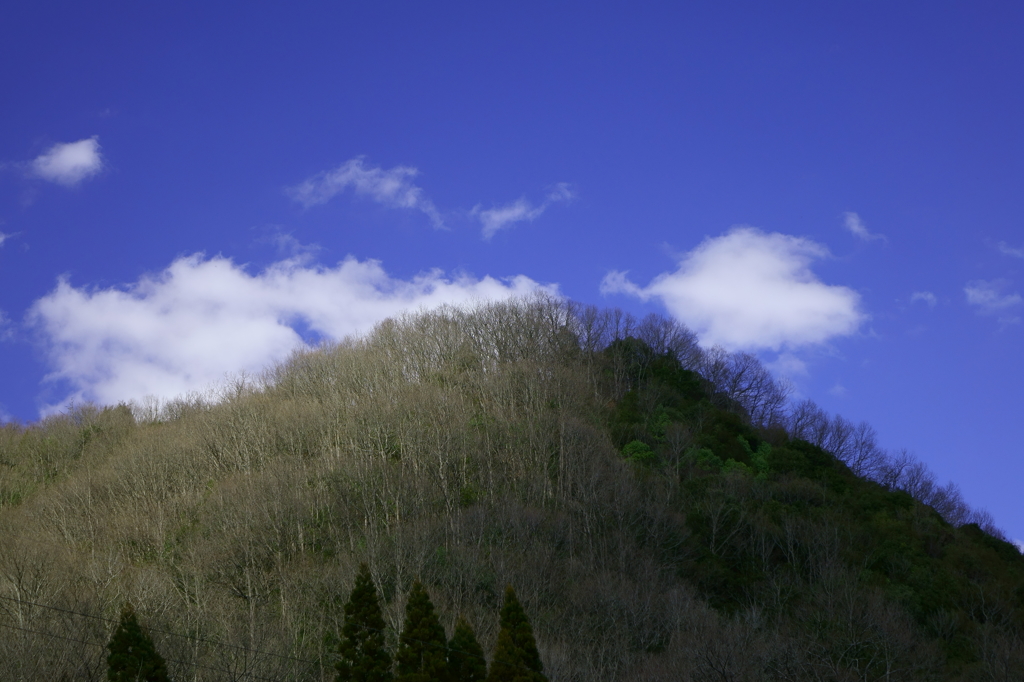 DSC08085