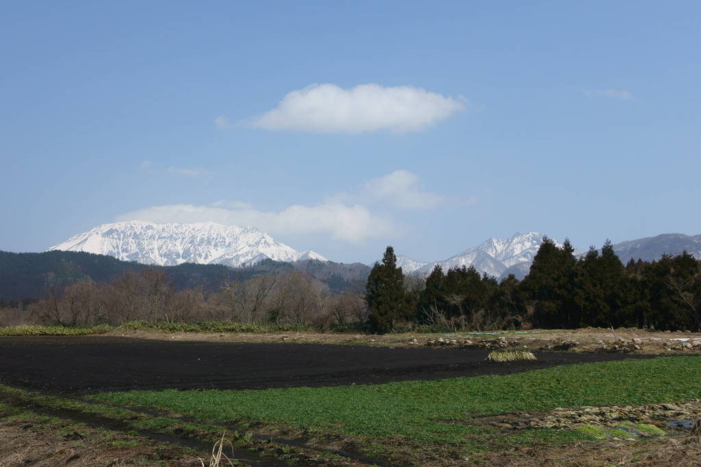 御机からの大山と烏ヶ山