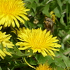 DSC09848