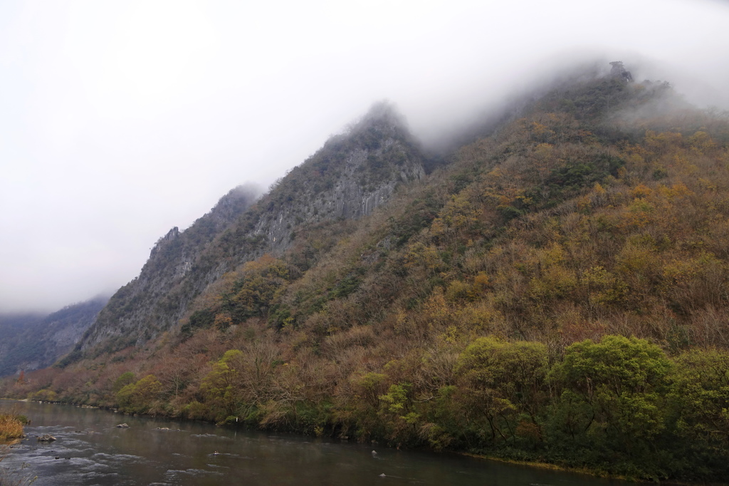 _DSC1294 (2)