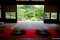 好きな妙満寺