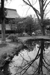 仏宿し広隆寺