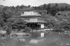 金閣寺を銀閣寺で