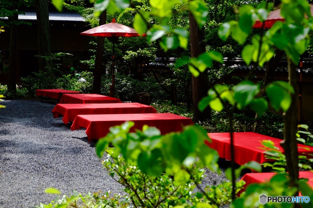 金閣寺
