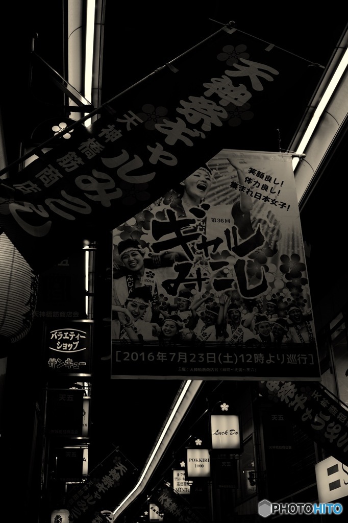 今年も来ました！