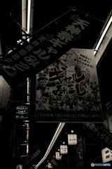 今年も来ました！