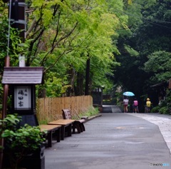 雨の深大寺