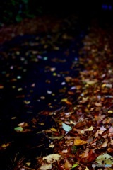 山村紅葉