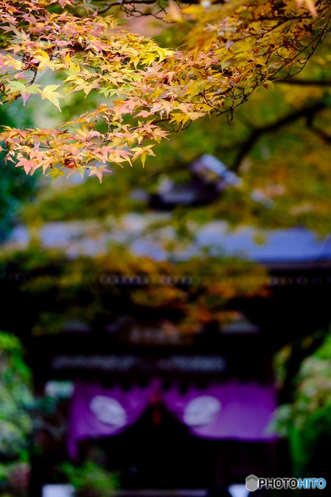 円覚寺