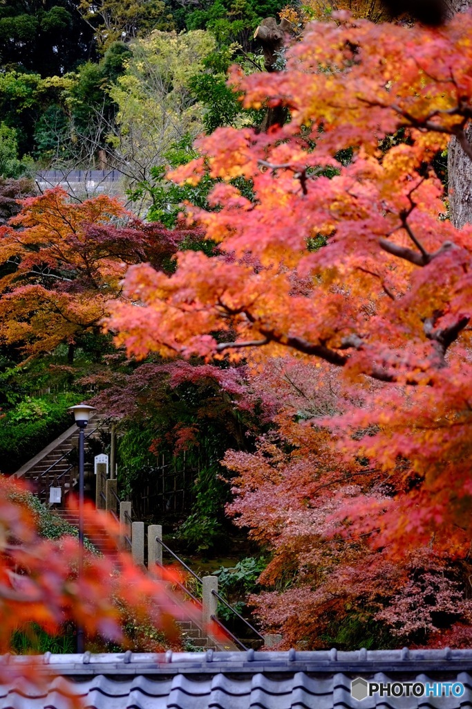 北鎌倉