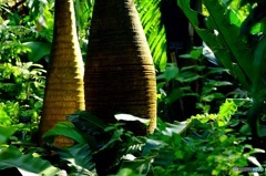 GREEN on GREEN