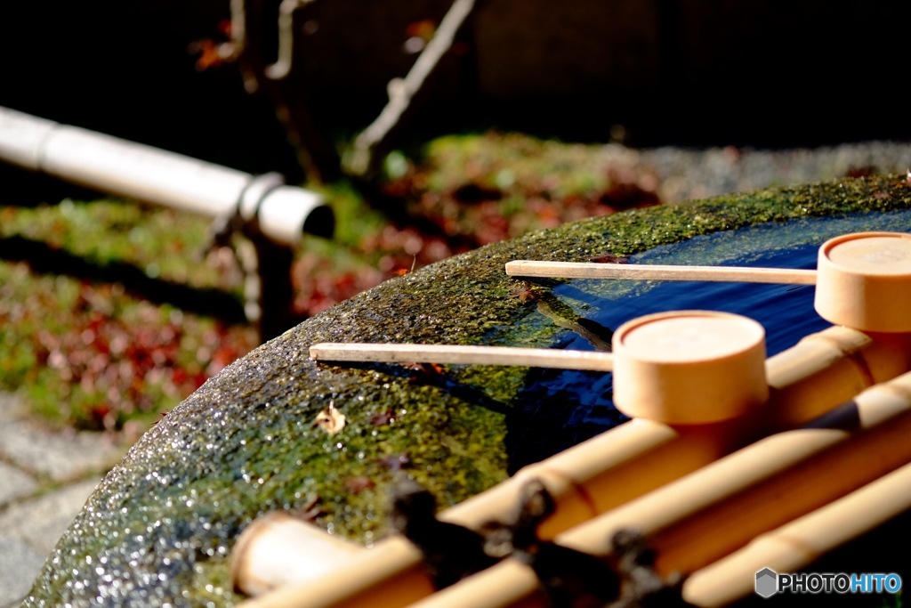 二度目の妙満寺