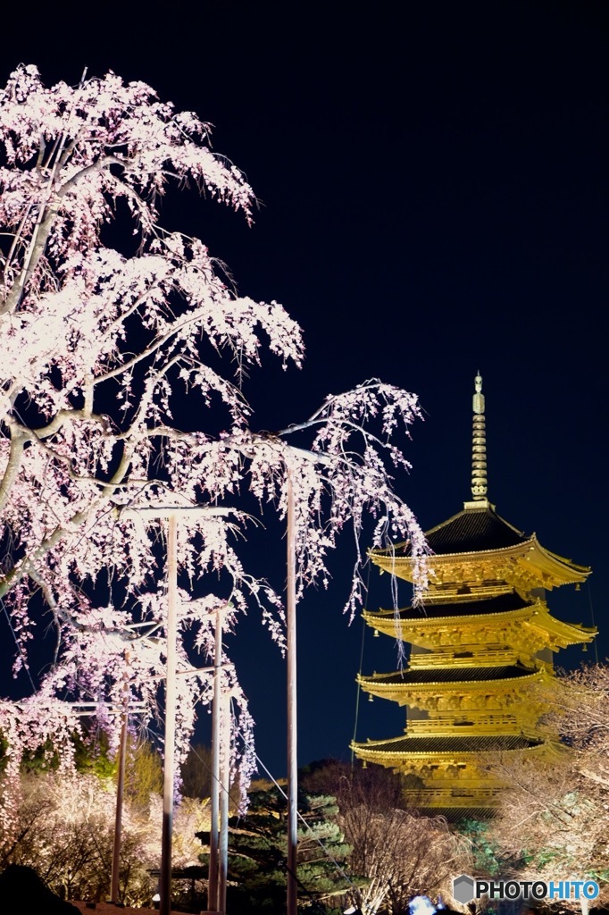 ＴＯＪＩ