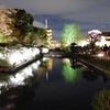 東寺の夜桜