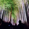 嵐山の竹林