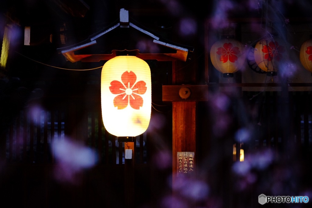 平野神社の桜もあと少し