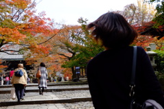 そーだ！京都へ行こう！