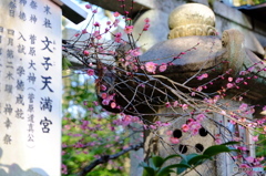 合格祈願賑わう北野天満宮
