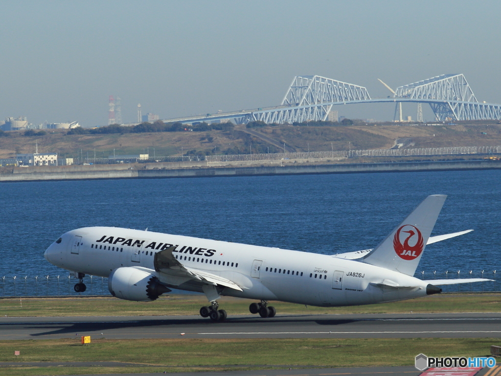 787 JAL