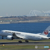 787 JAL