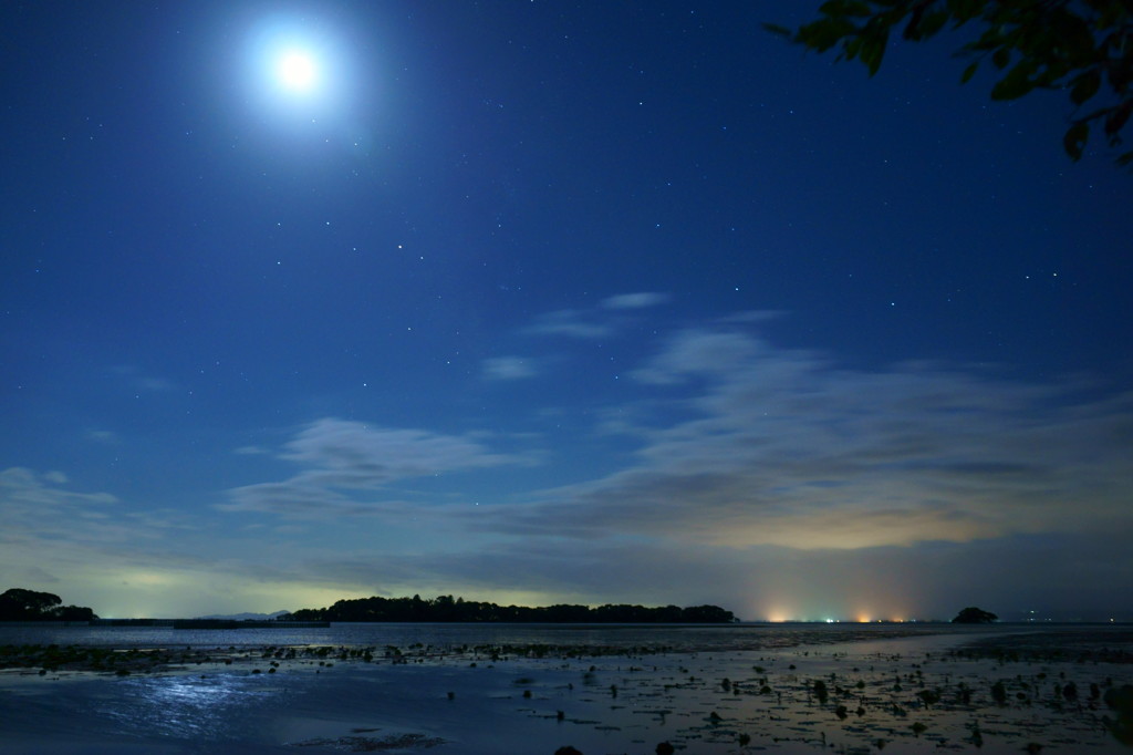 琵琶湖の月夜
