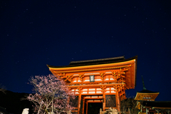 清水寺の静夜