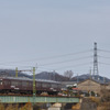 SDIM2699