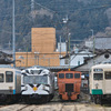 SDIM2653