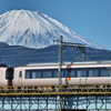 SDIM2491