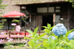 平家の里