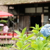 平家の里