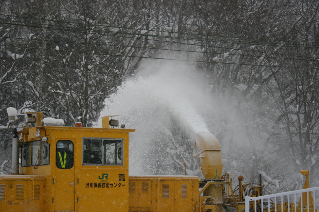 排雪