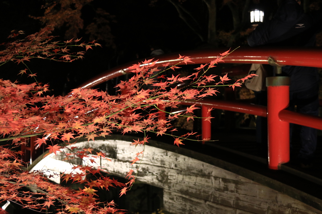 伊香保温泉の紅葉 河鹿橋ライトアップ