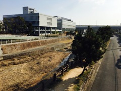 芦屋川
