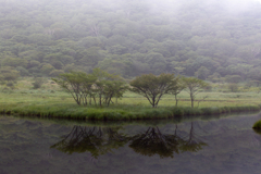 霧の覚満淵