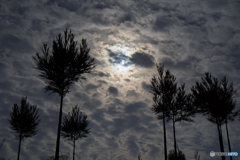 DSC00923