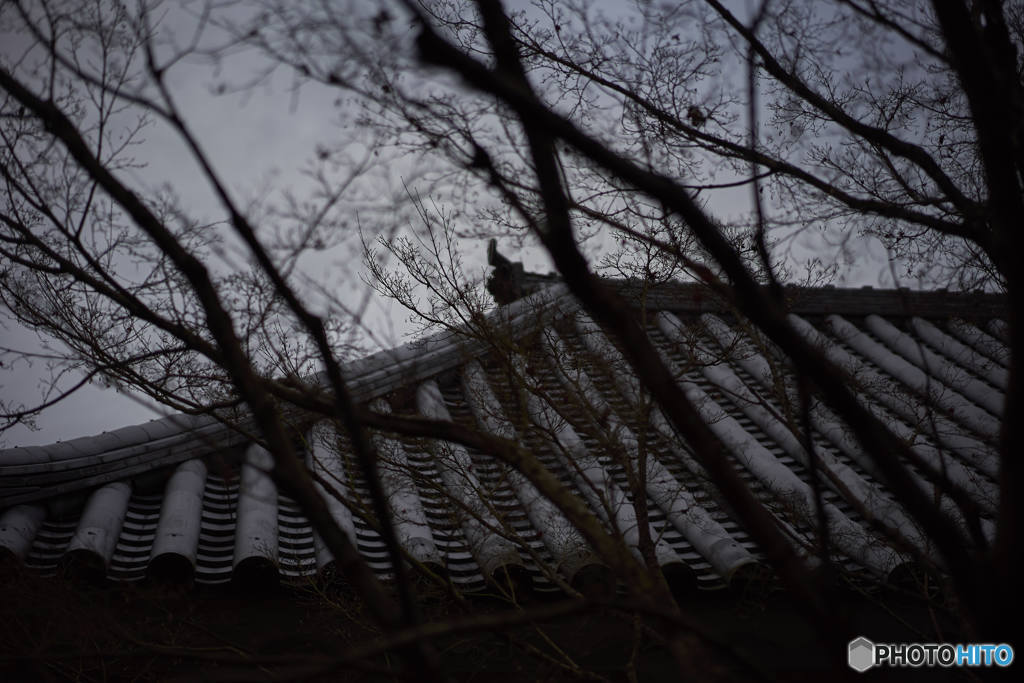 DSC00631