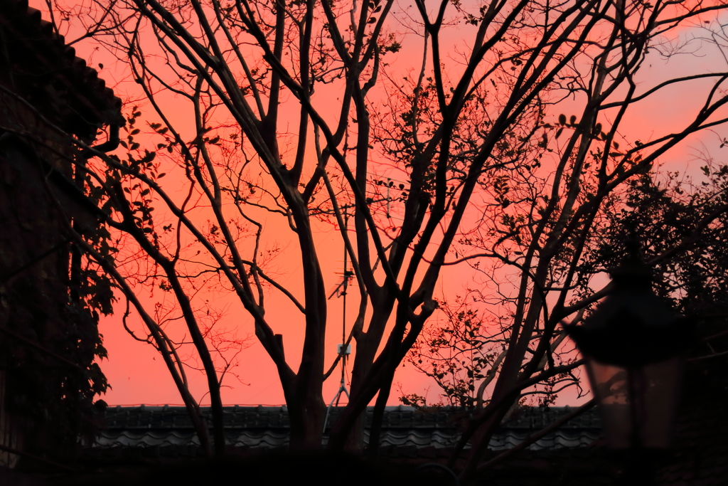 Sunset