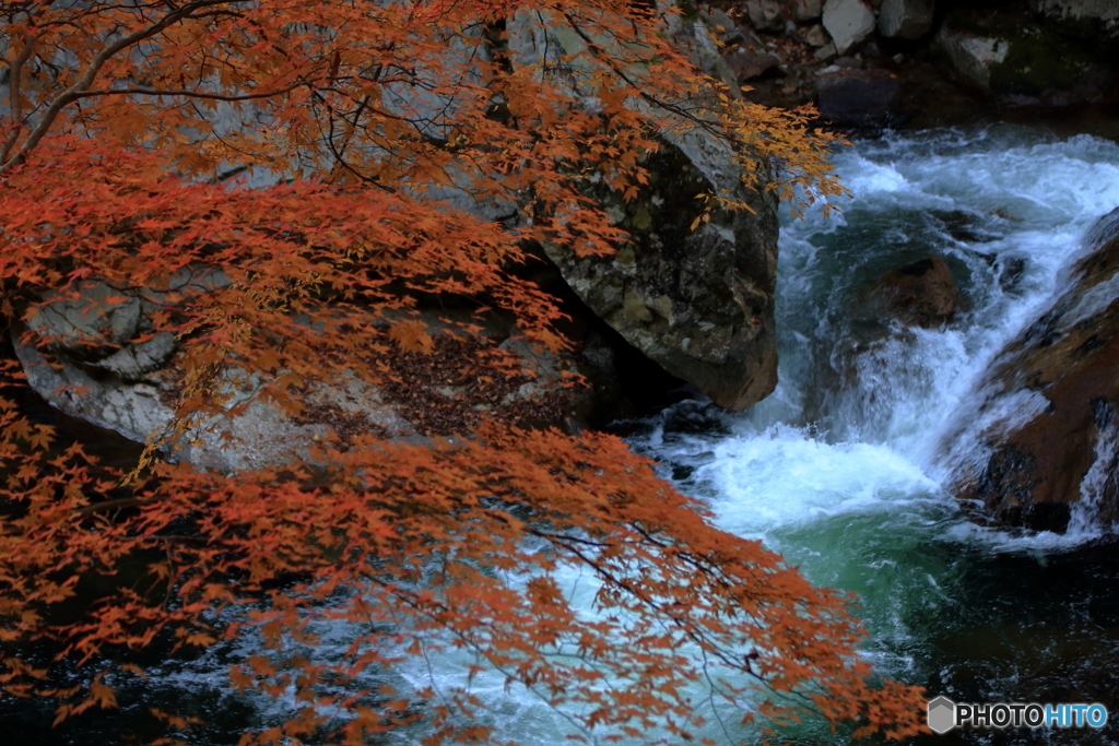 紅葉の三段峡４