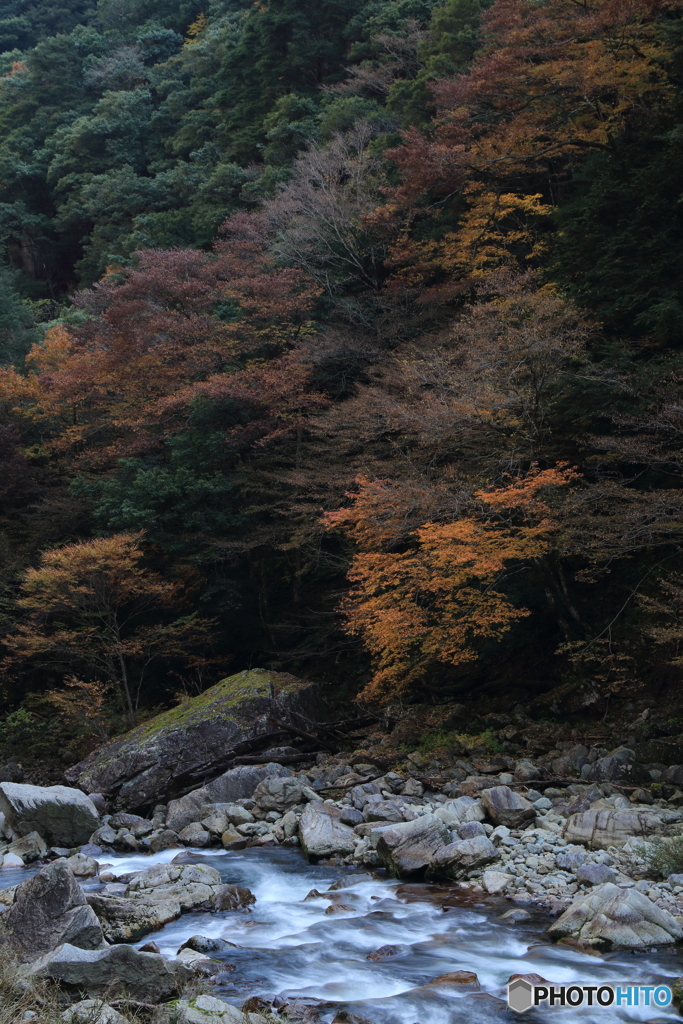 紅葉の三段峡３