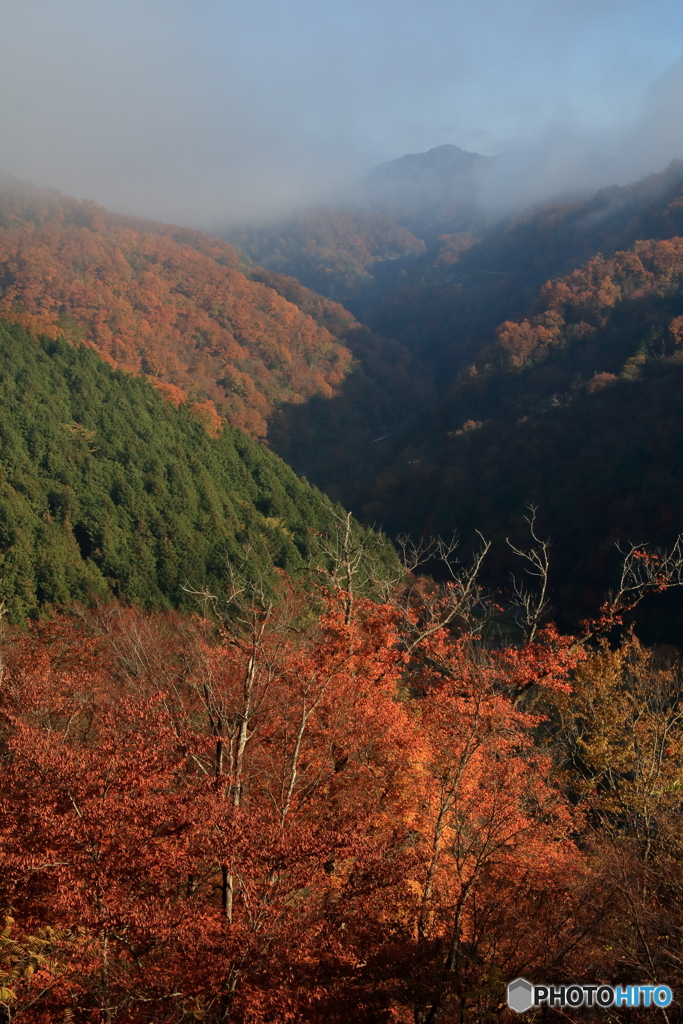 里山の秋２