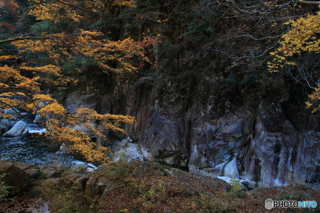 紅葉の三段峡２