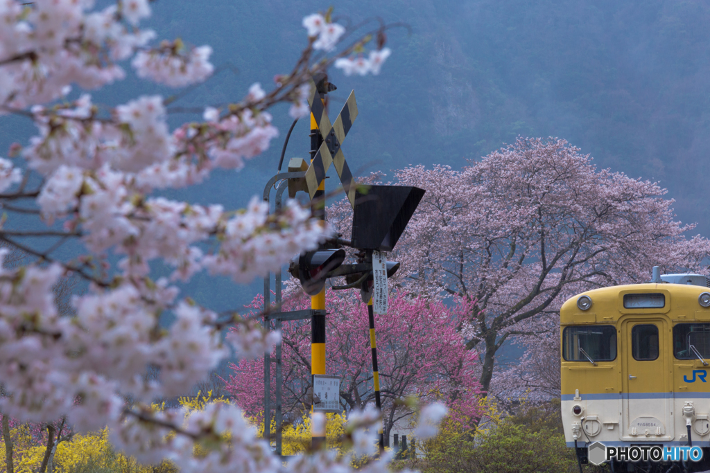 花の駅