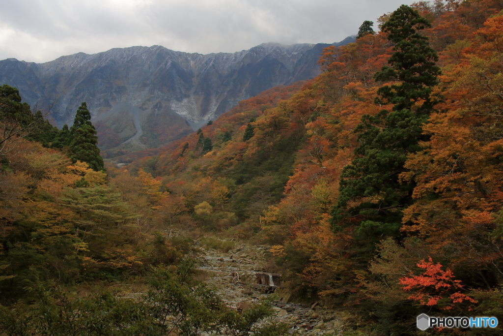 金門の紅葉